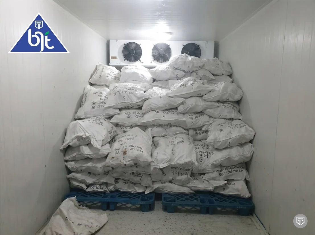 Cold Storage untuk Produk Beku: Solusi Penyimpanan Optimal dari BJT